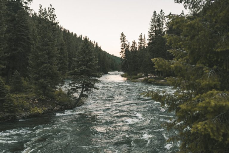 Unleashing the Power of Nature: A Guide to Transformative Outdoor Travel Experiences